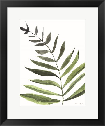 Framed Fern 1 Print