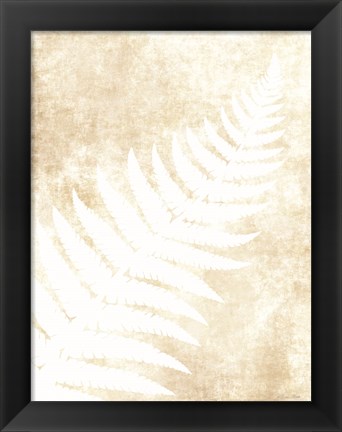 Framed Fern Frond 1 Print