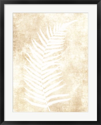 Framed Fern Frond 2 Print