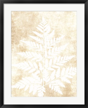 Framed Fern Frond 3 Print