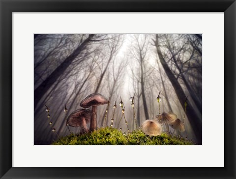 Framed Small and Giant Creatures of the Woods Print