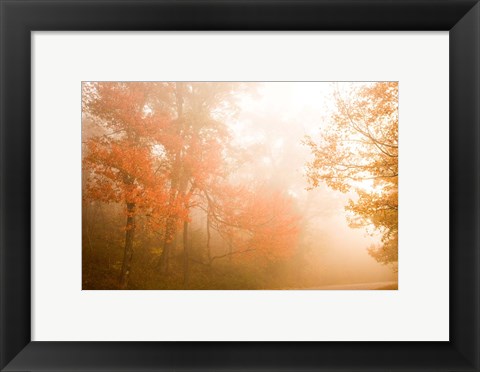 Framed Beyond The Fog Print