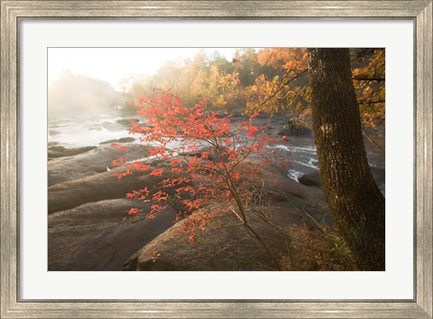 Framed Little Red Print