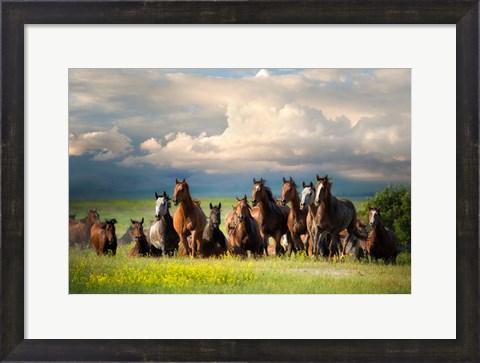 Framed Running Free II Print