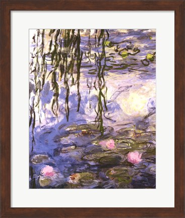 Framed Waterlilies (pink flowers) Print