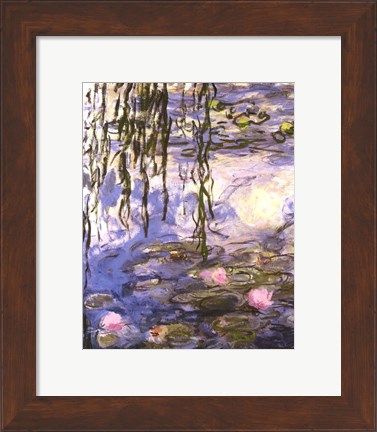 Framed Waterlilies (pink flowers) Print