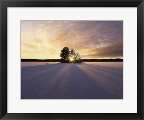 Framed Sun Kissed Print