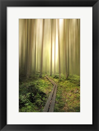 Framed Into the Light Print