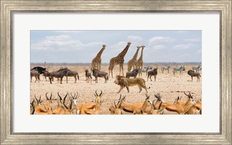 Framed Sovereign Passing By (Masai Mara) Print