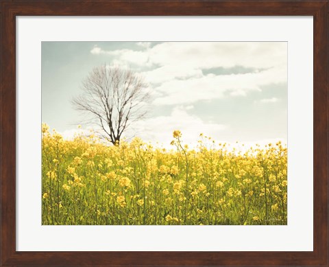 Framed Yellow Meadow Print