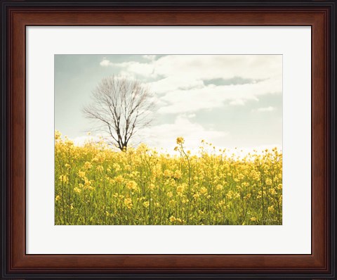 Framed Yellow Meadow Print