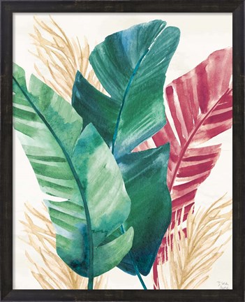 Framed Tropics II Print