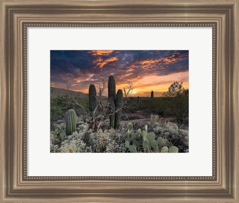 Framed Sunset Moonrise Print