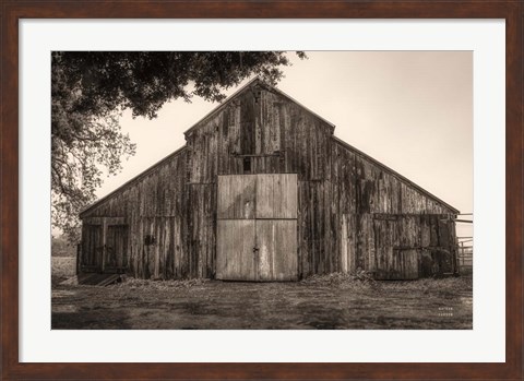 Framed Hiding from the Rain Print