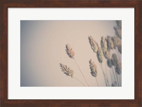 Framed Dried Grass Study Print