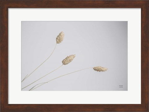 Framed Grass Study Color Print