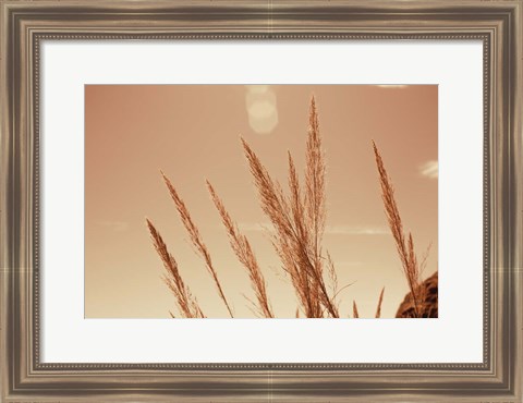 Framed Lakeside Grasses VI Print