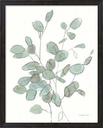 Framed Transparent Leaves Eucalyptus Print