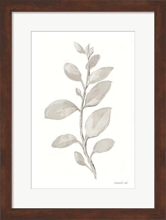 Framed Gray Sage Leaves II on White Print