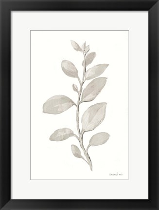 Framed Gray Sage Leaves II on White Print