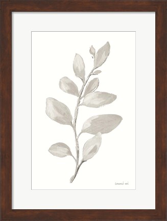 Framed Gray Sage Leaves I on White Print