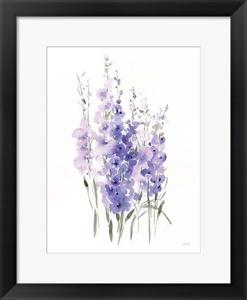 Framed Spring Blooms III Print