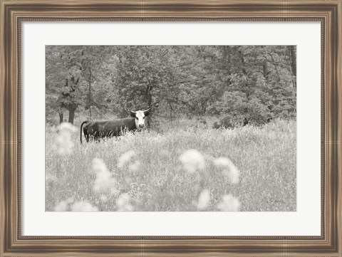 Framed Summer Farm II BW Print