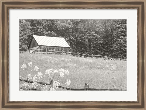 Framed Summer Farm I BW Print