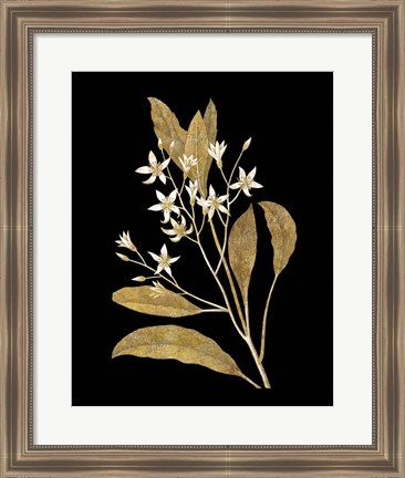 Framed Gold Botanical V on Black Print