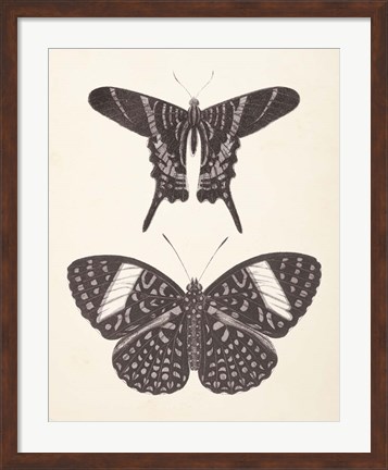 Framed Papillons II Neutral Print