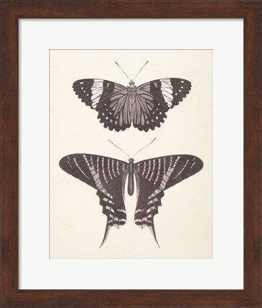 Framed Papillons I Neutral Print