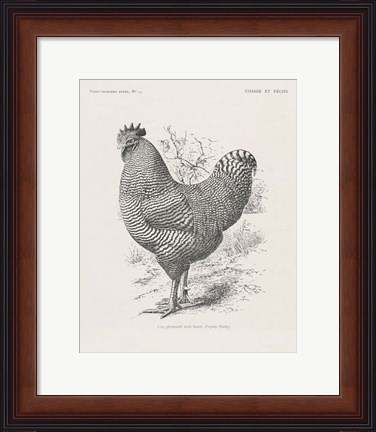 Framed Vintage Farm Life III Print