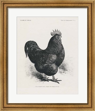 Framed Vintage Farm Life II Print