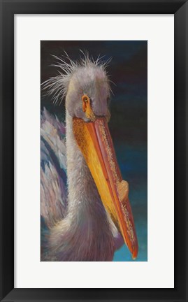 Framed Pelican Print