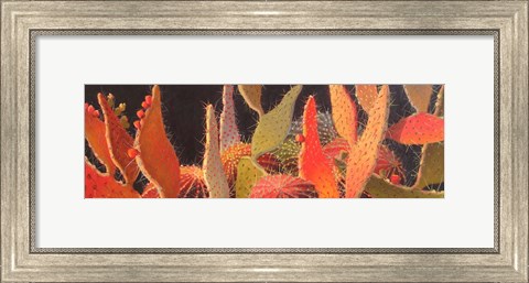 Framed Sundown Print