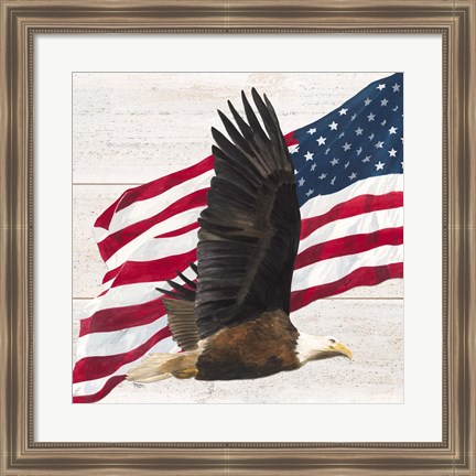 Framed Let Freedom Soar V Print