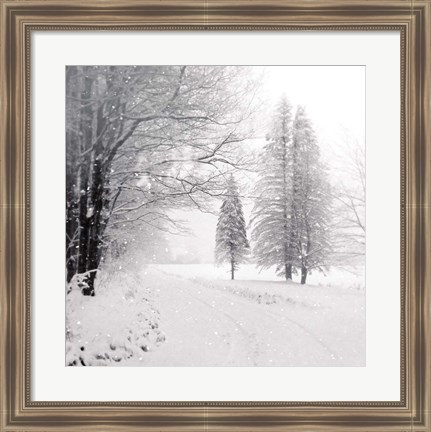 Framed Let it Snow II BW No Words Print