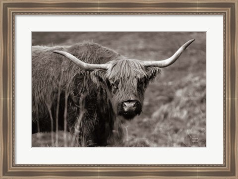 Framed Highland Spring Print