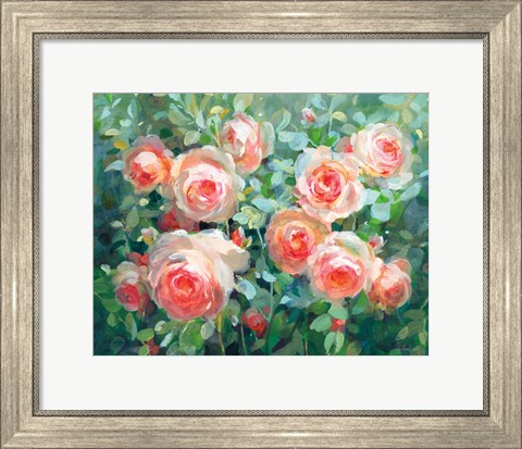 Framed English Roses Print