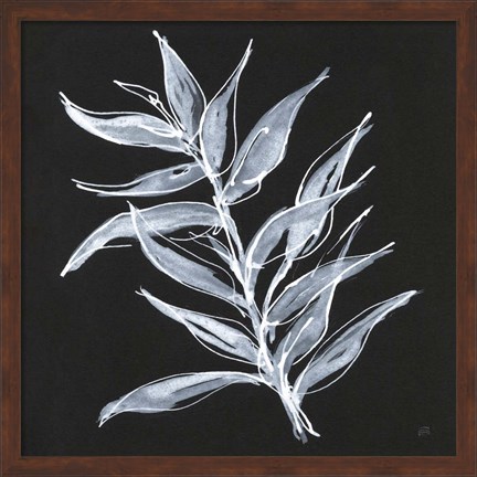 Framed White Fern II Print