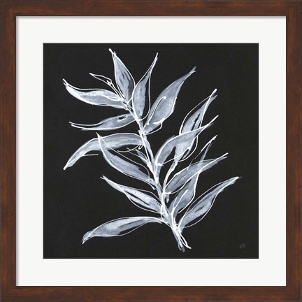 Framed White Fern II Print