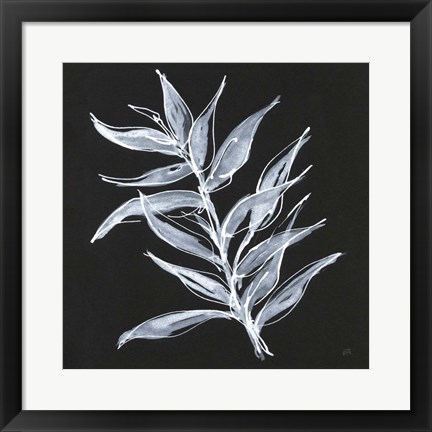 Framed White Fern II Print