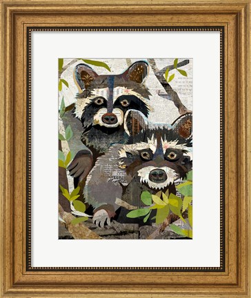 Framed Raccoons Print