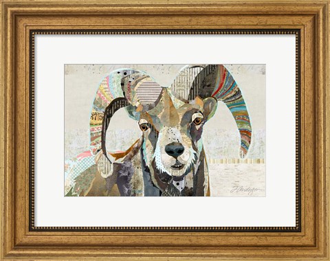 Framed Wild Bighorn Sheep Print