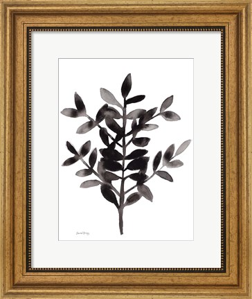 Framed Botanical with Nagi Fern No. 3 Print