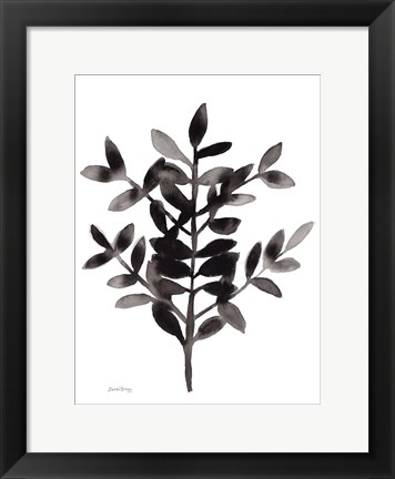 Framed Botanical with Nagi Fern No. 3 Print