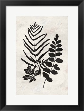 Framed Botanica 1 Print