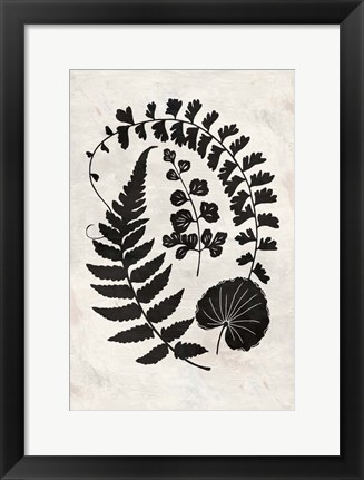 Framed Botanica 2 Print