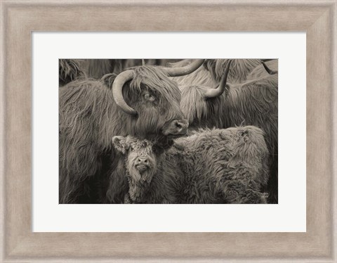 Framed Highland Cow Under Cover Neutral Print