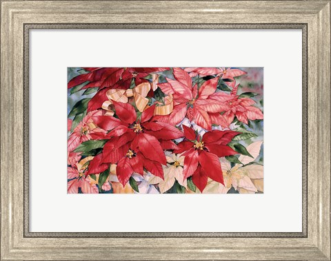 Framed Poinsettia Print